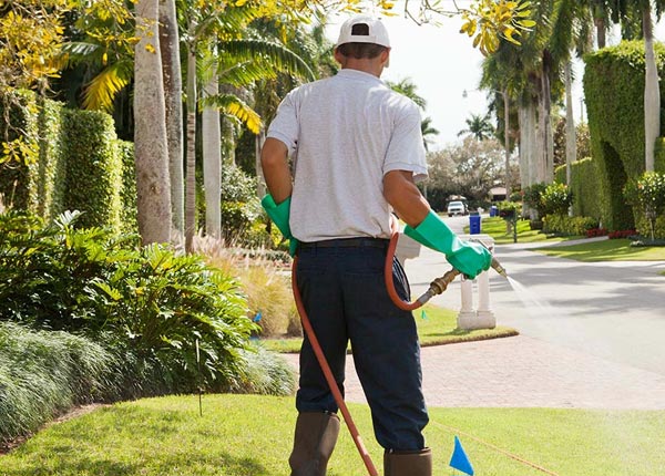 About Brunswick NC Pest Control Pros